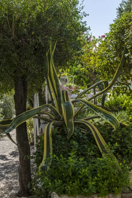 Villa Dvori photo 11