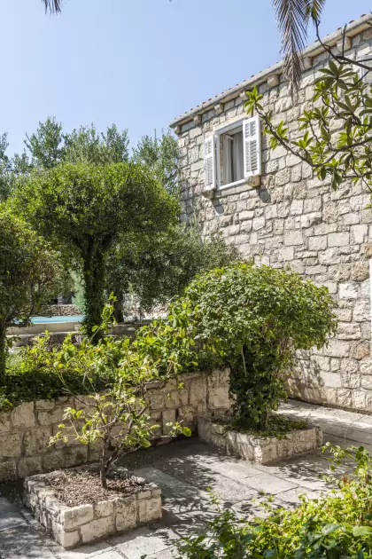 Villa Dvori photo 12