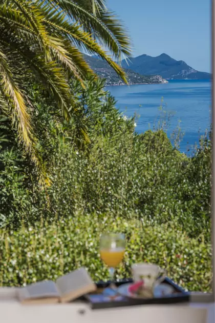 Villa Dvori photo 18