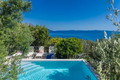 Villa Dvori photo 25