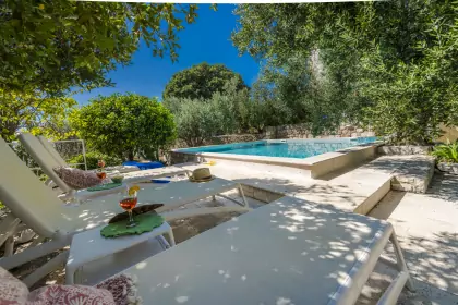 Villa Dvori photo 9