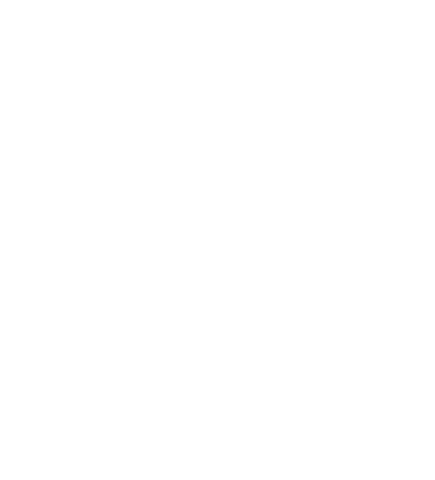 Villa Dvori logo